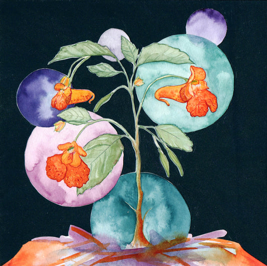 Taylor Schwinn DeCarmine "Spotted Jewelweed"