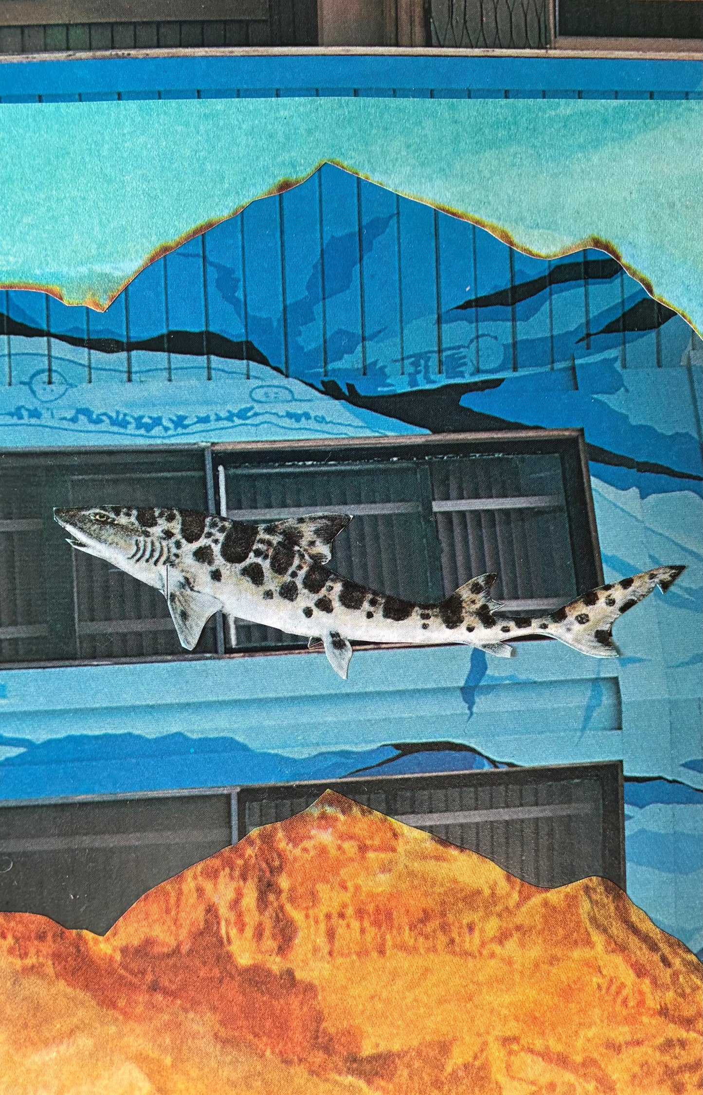 Maryann Cole "Mountain Swing"