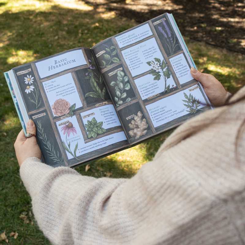 Fiona Cook & Jessica Roux "Wheel of the Year" Book