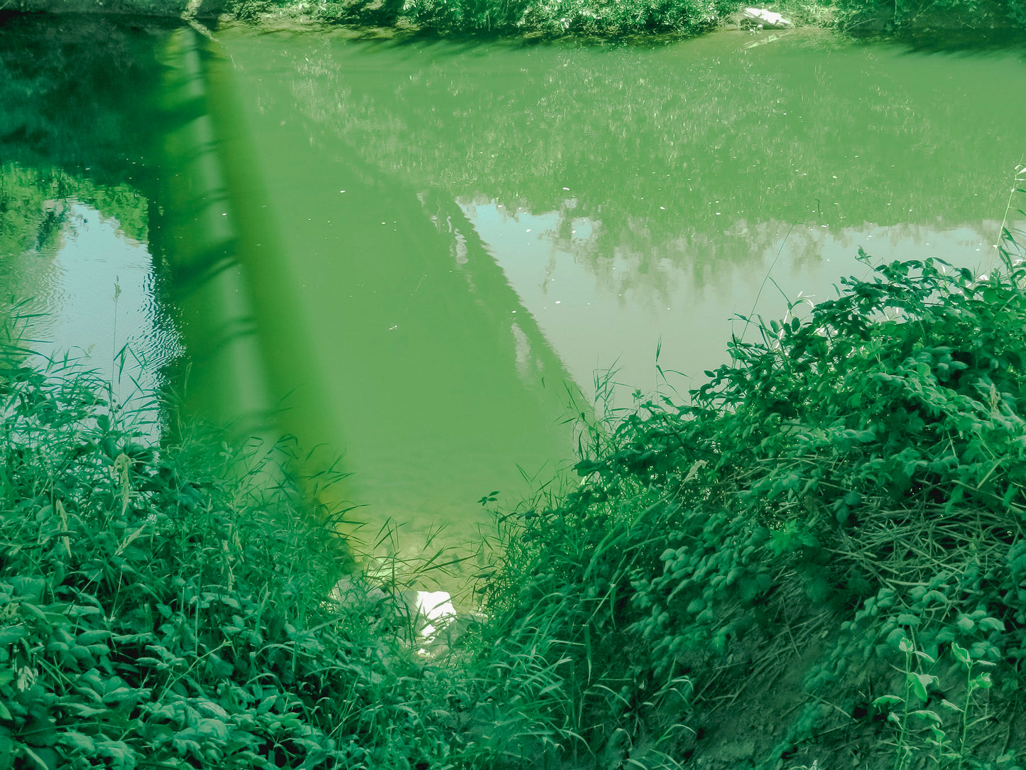 Laura LeMoon "Green River"