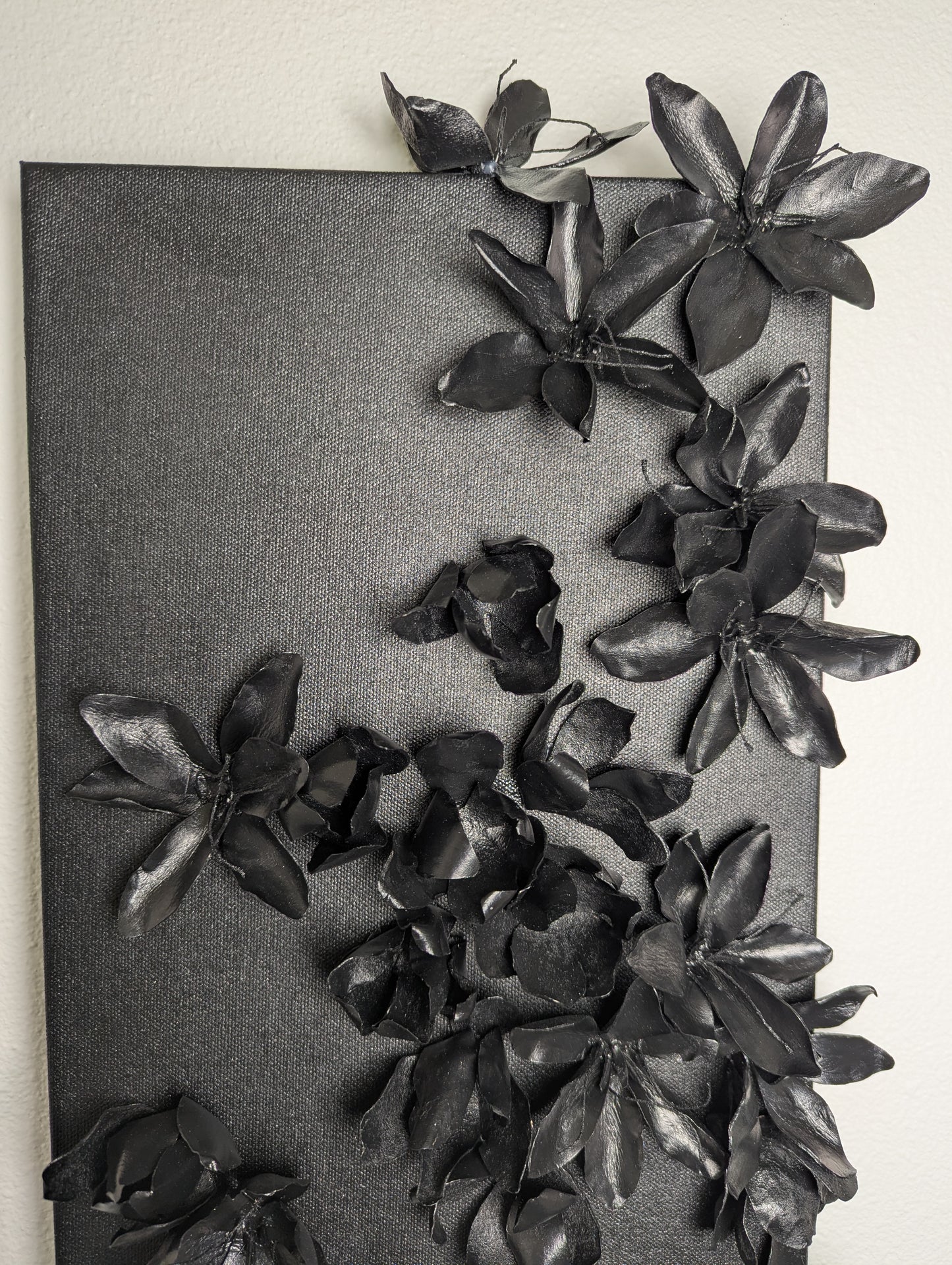 Rory Flanigan "Saffron crocus (Crocus sativus)"