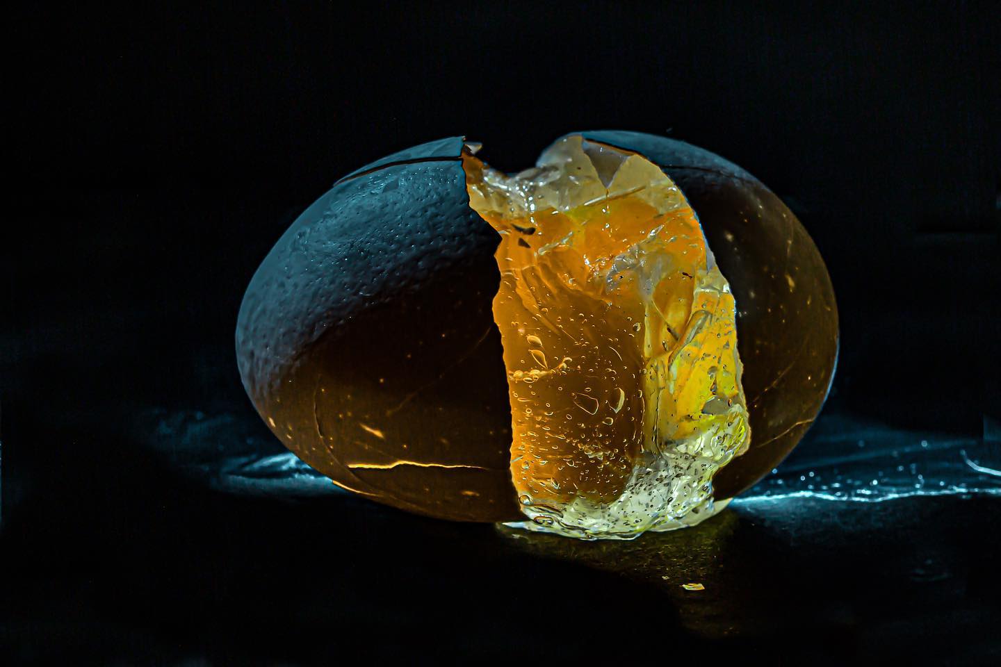 Rosemary Dai Ross "Not Your Domestic Egg 1"