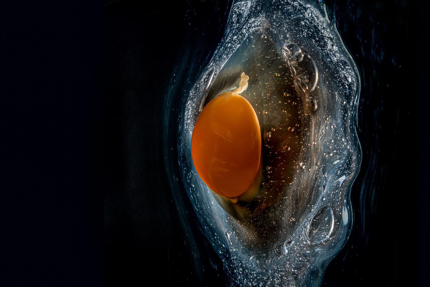 Rosemary Dai Ross "Not Your Domestic Egg 3"