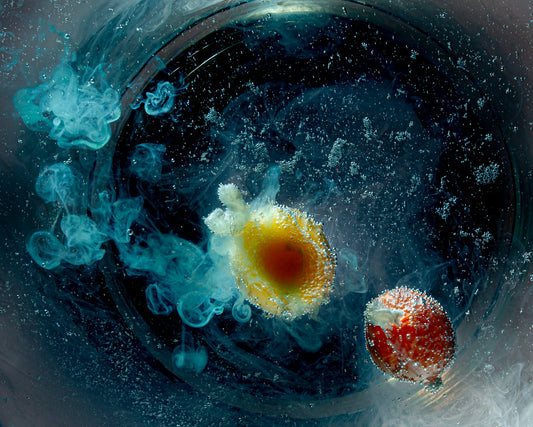 Rosemary Dai Ross "Not Your Domestic Egg 4"