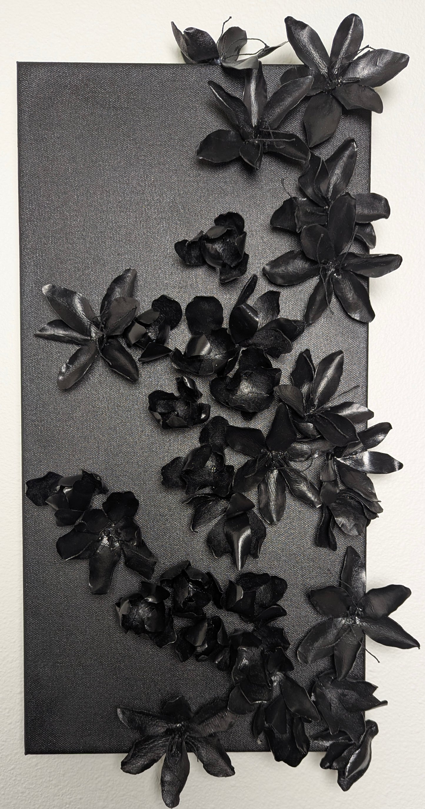 Rory Flanigan "Saffron crocus (Crocus sativus)"