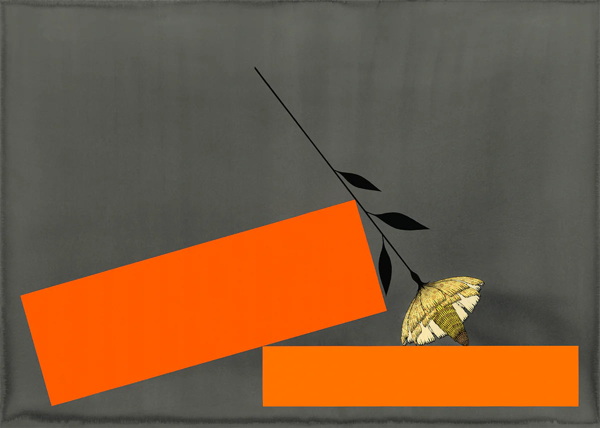 Strange Dirt "Desire" *PRE-ORDER 11/7*