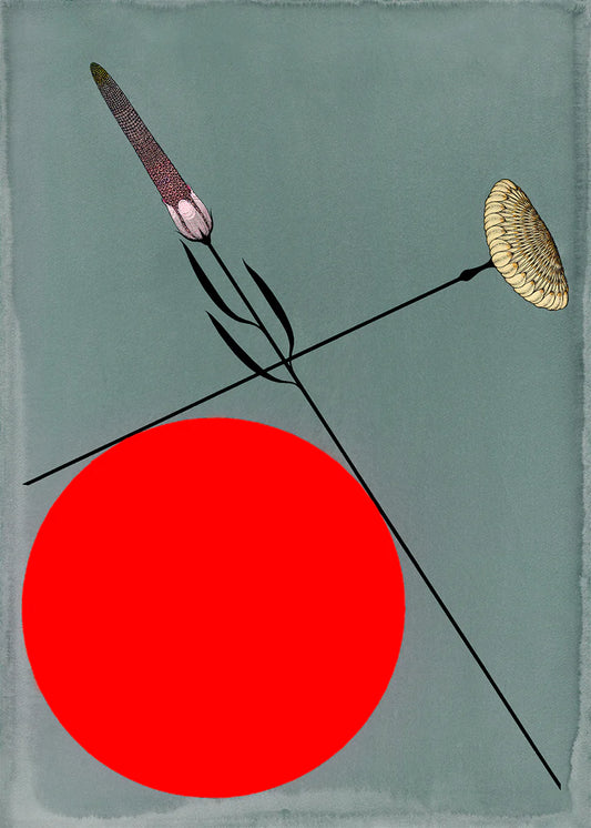 Strange Dirt "Heart Study I" *PRE-ORDER 11/7