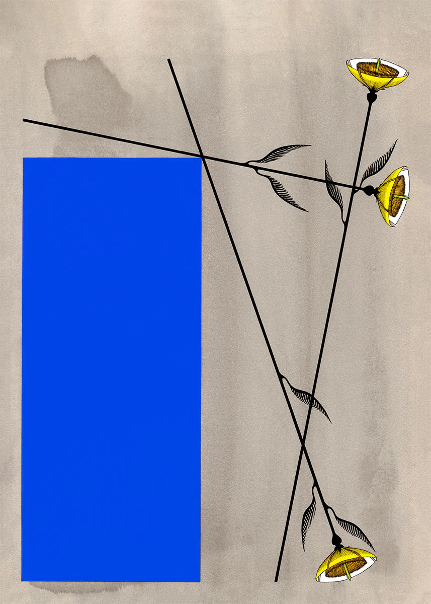 Strange Dirt "Heart Study 2" *PRE-ORDER 11/7