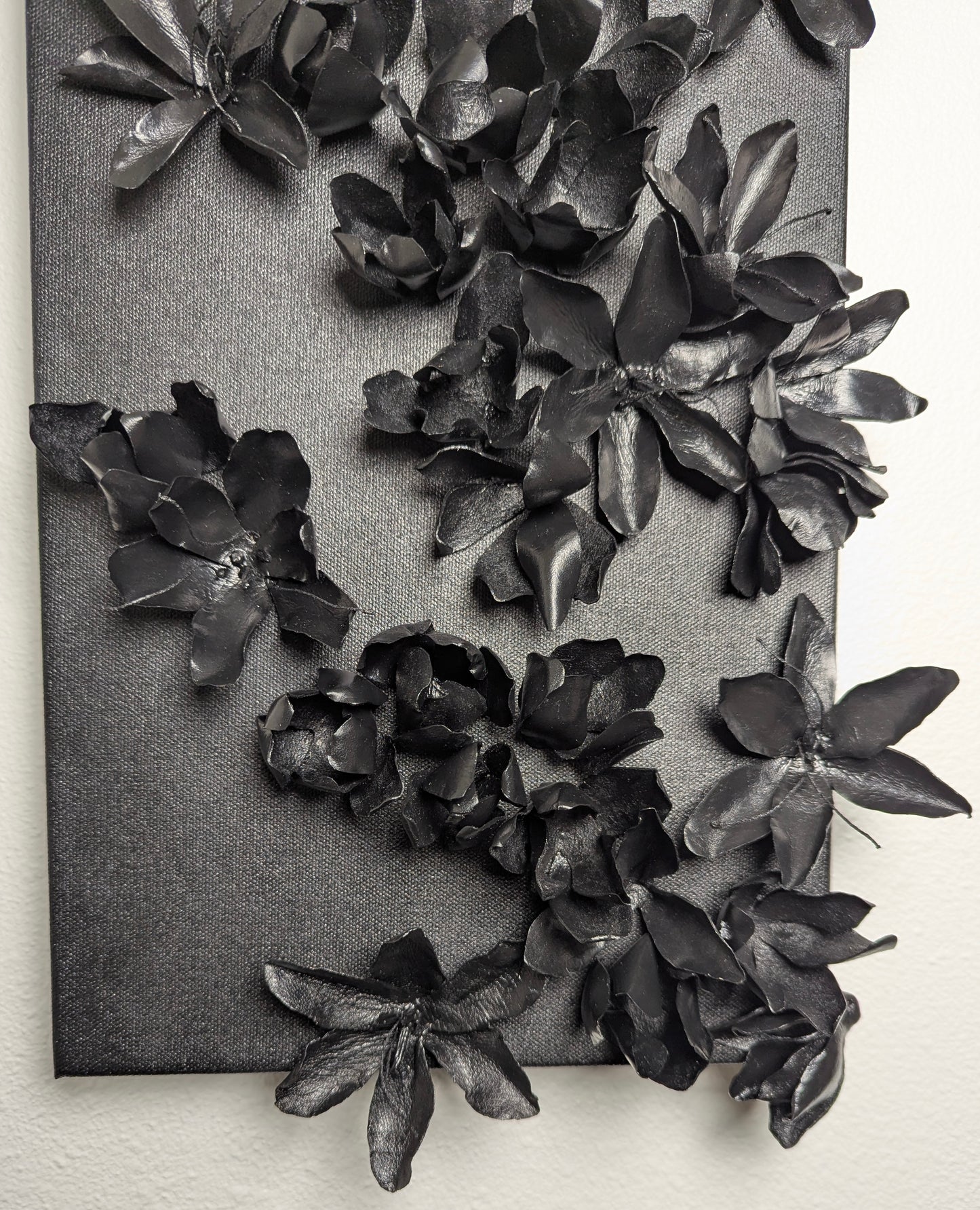 Rory Flanigan "Saffron crocus (Crocus sativus)"