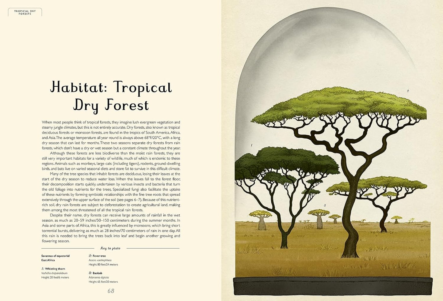 Welcome to the Museum: Arboretum