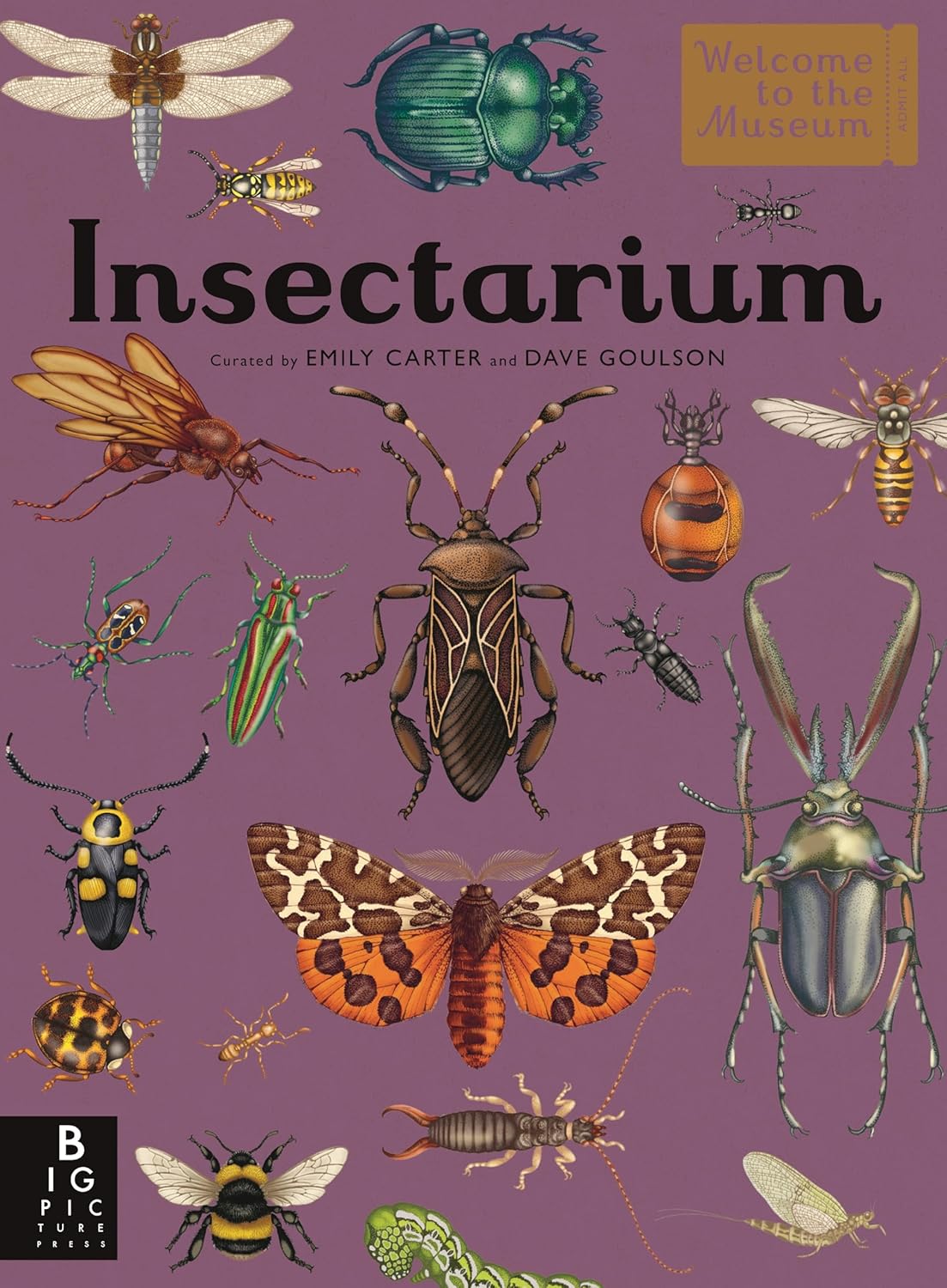 Welcome to the Museum: Insectarium