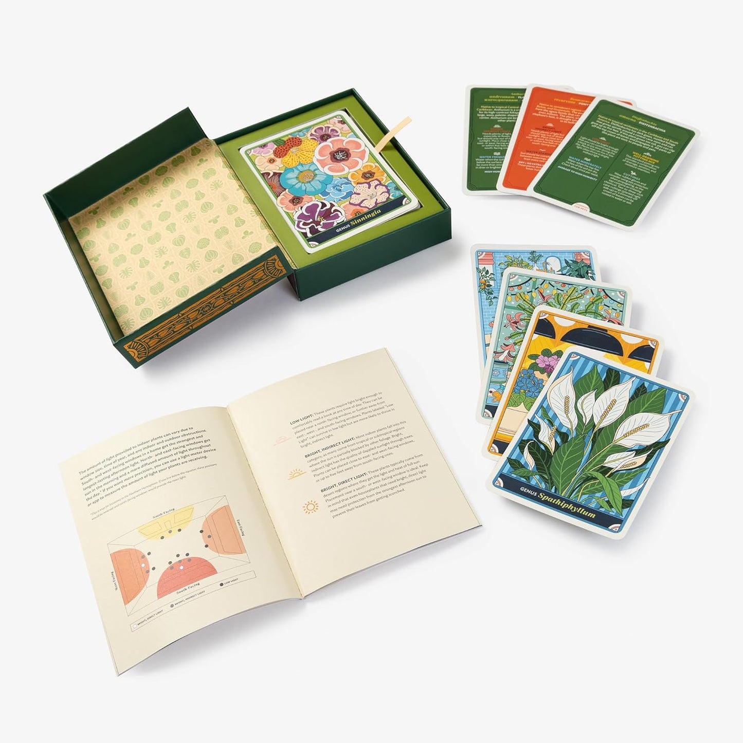 The Happy Houseplant Deck: 50 Cards for Intuitive Plant Care