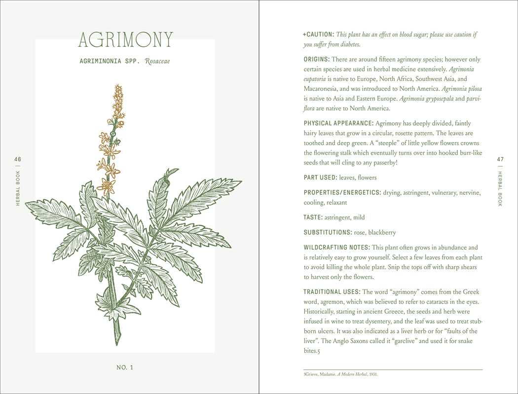 Rebecca Beyer Complete Folk Herbal *PRE-ORDER 12/22*