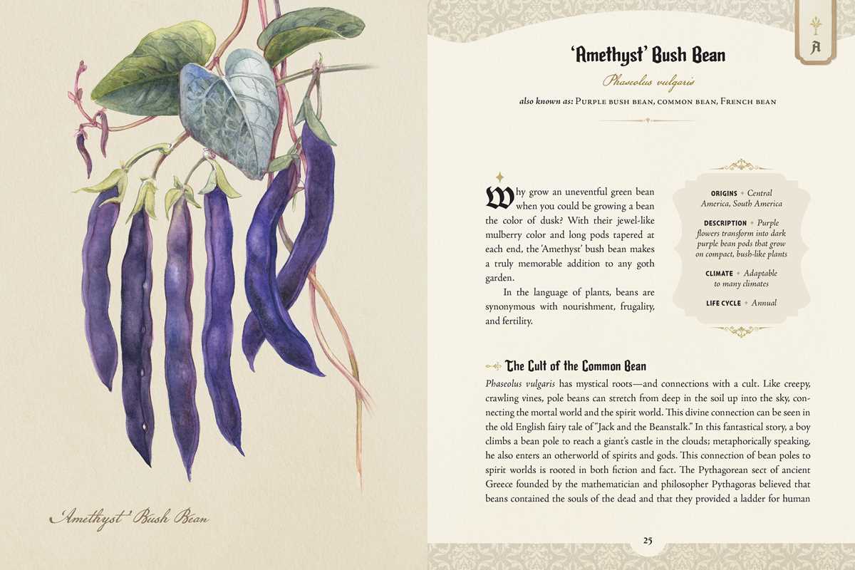Felicia Feaster "The Goth Garden" Book