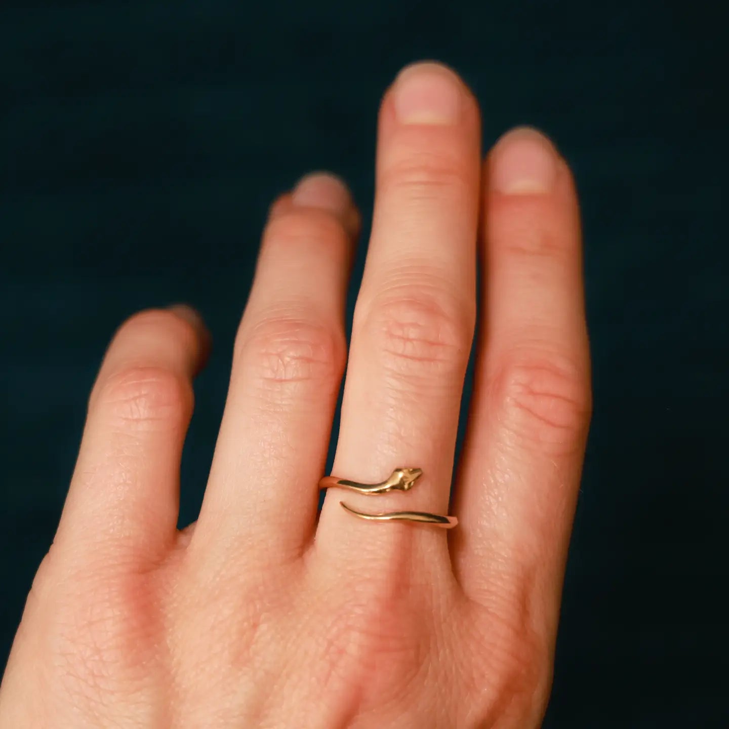 Nina Designs Bronze Adjustable Snake Ring