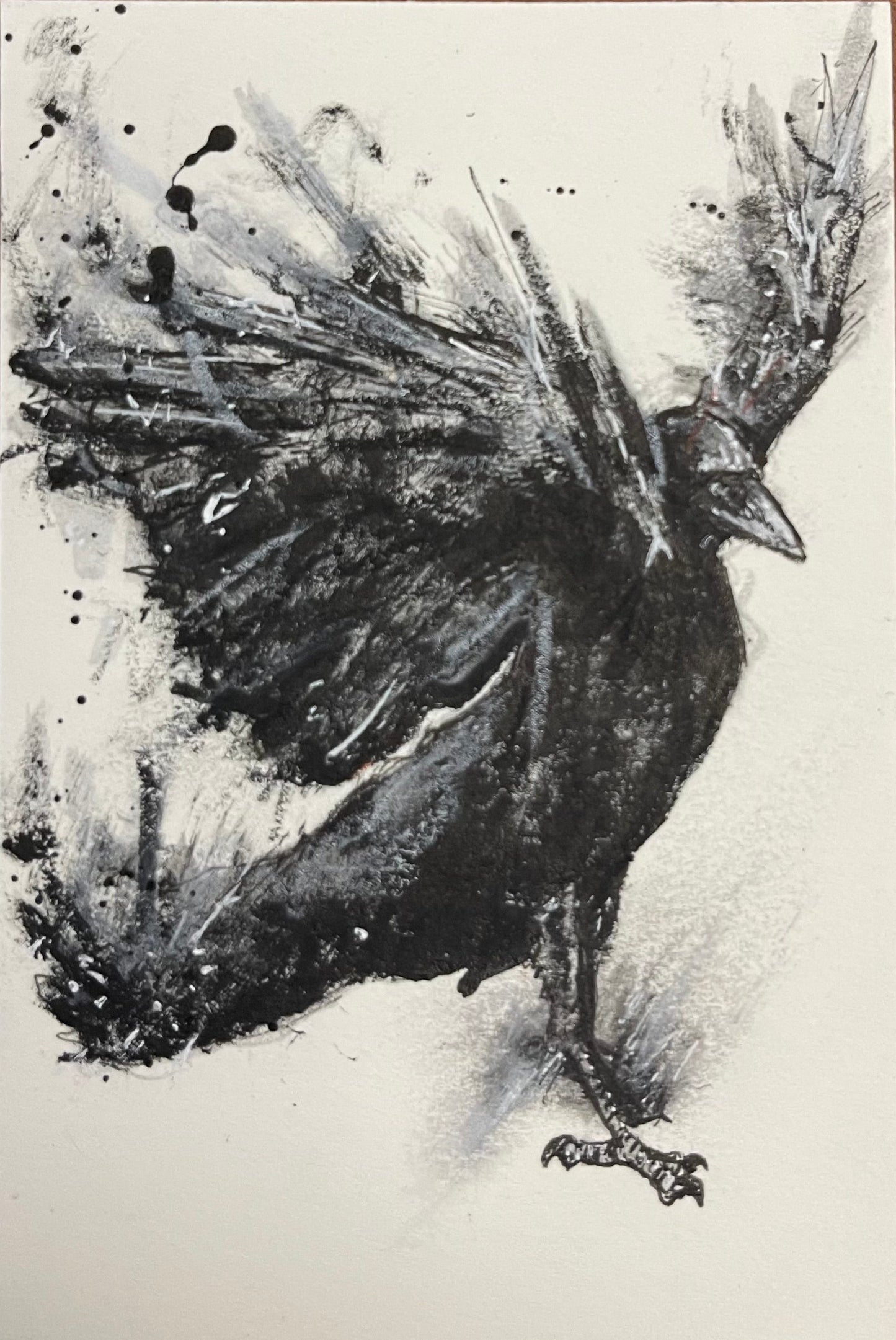 Black ink drawing of a bird on a white background