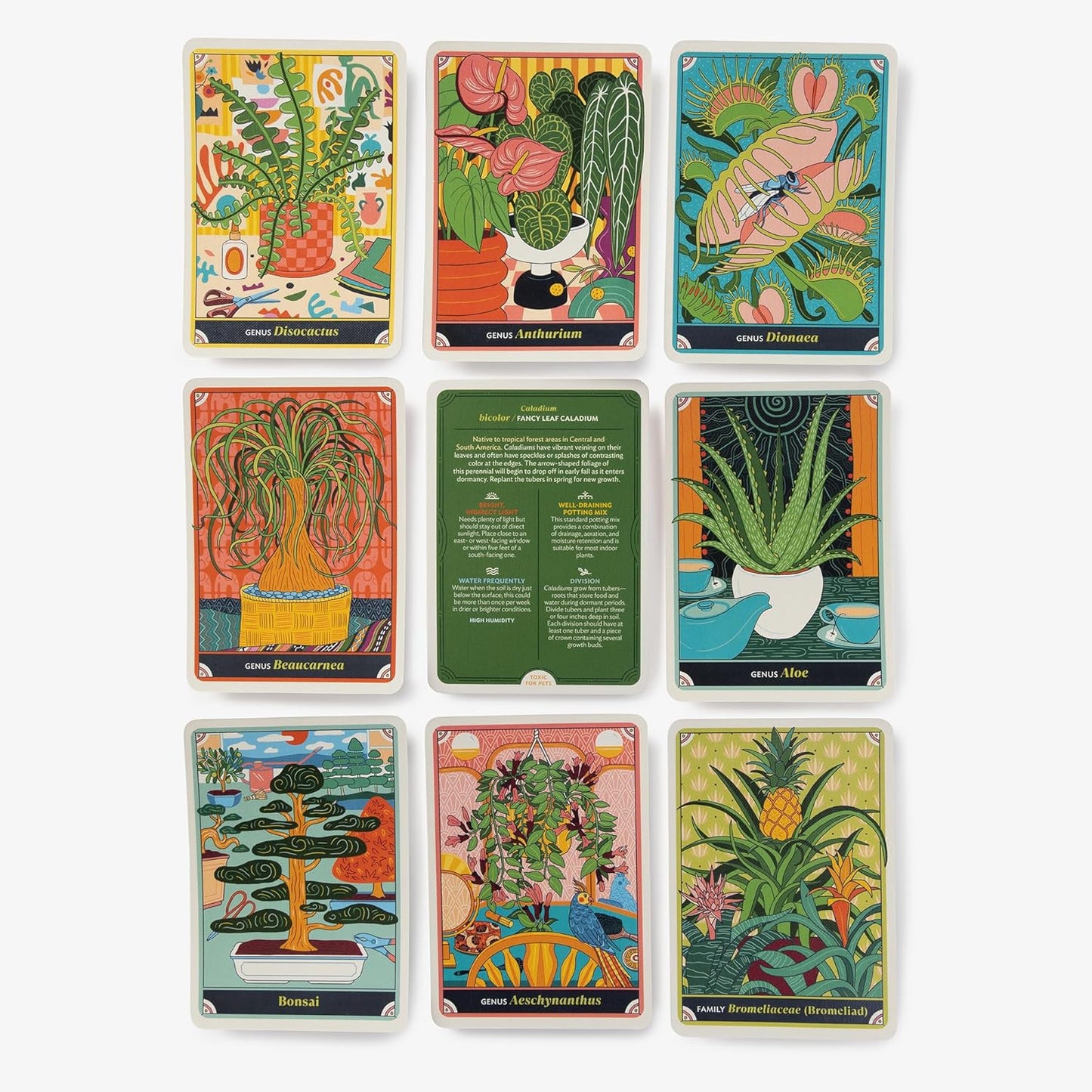 The Happy Houseplant Deck: 50 Cards for Intuitive Plant Care