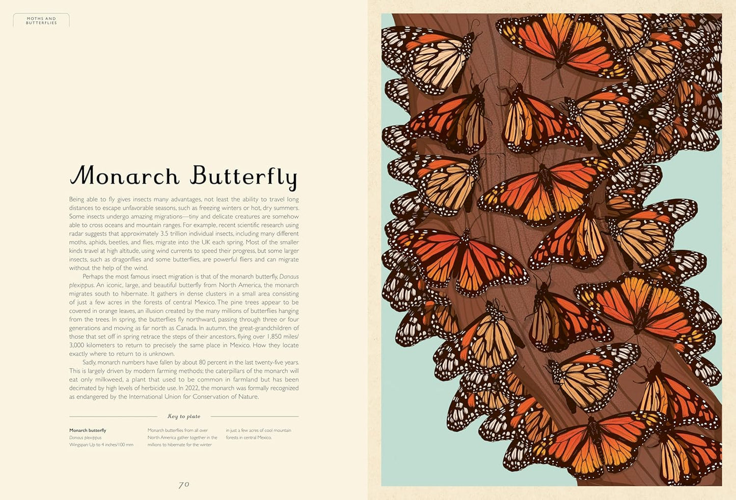 Welcome to the Museum: Insectarium