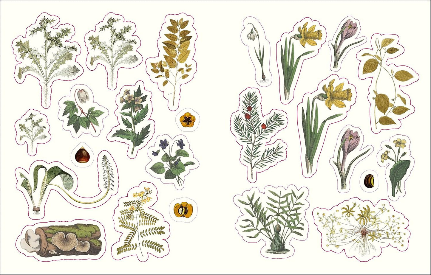 The Forests, Fairies and Fungi Sticker Anthology