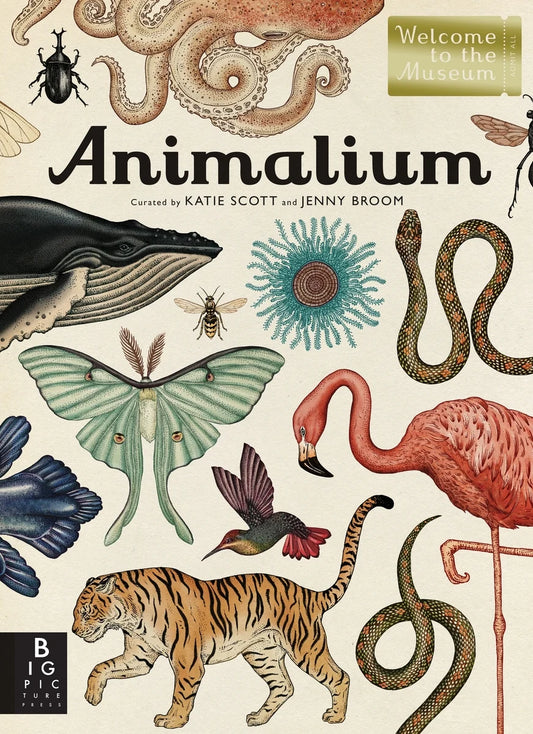 Welcome to the Museum: Animalium