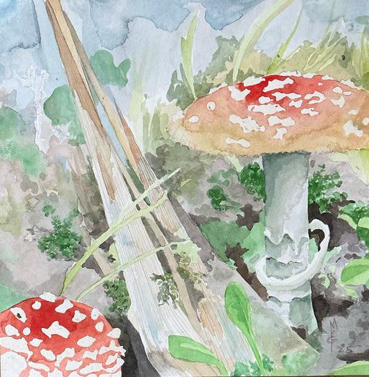 Maggie Yarrow Grae "Amanita"