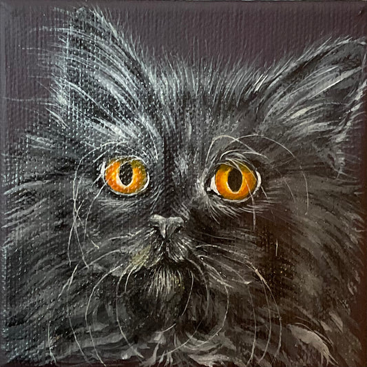 Lisa DeWilde "Albert"