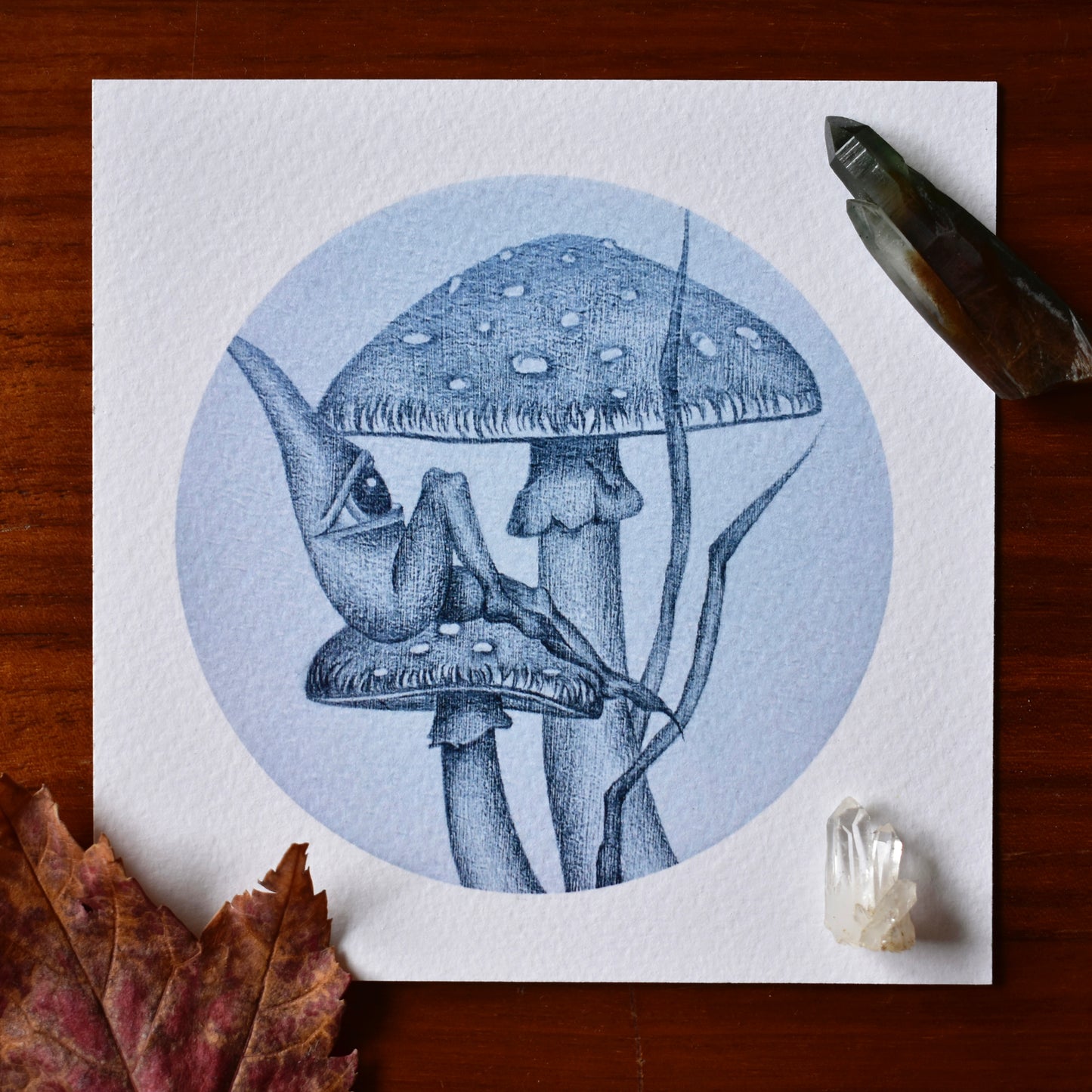 Katherine Wilson "Amanita Dreams"