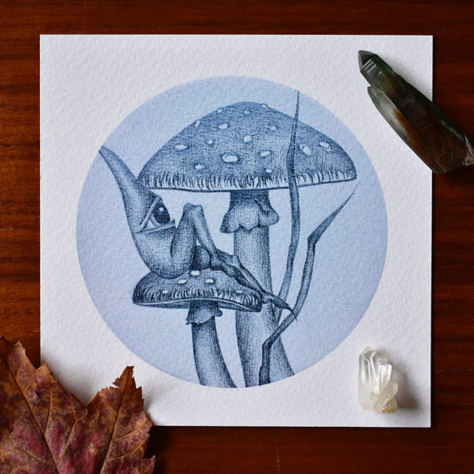 Katherine Wilson "Amanita Dreams"