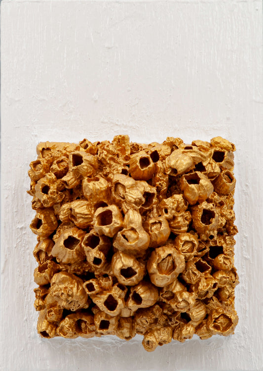 Lydia Ashman "Crowded Hopes"