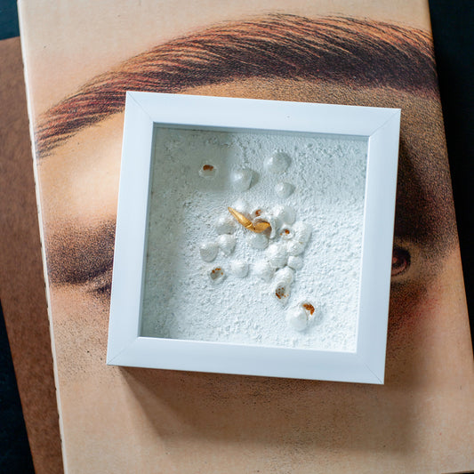 Lydia Ashman "Things We Lost in the Ocean"