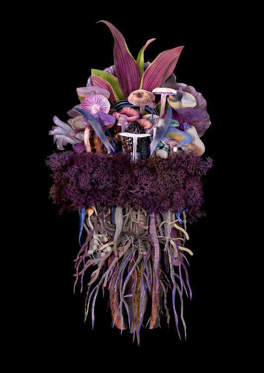 Jana Nicole "The Troupe: Twilight"