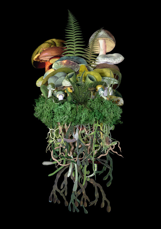 Jana Nicole "Botanicals: Spring"