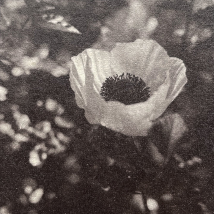 Michelle Smith-Lewis "Becoming - Mini 2"