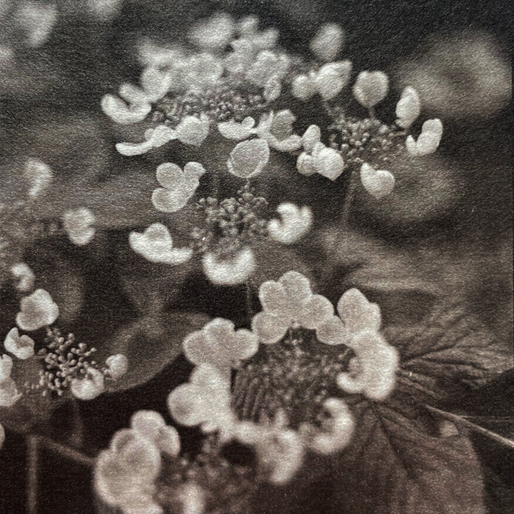 Michelle Smith-Lewis "Becoming - Mini 3"