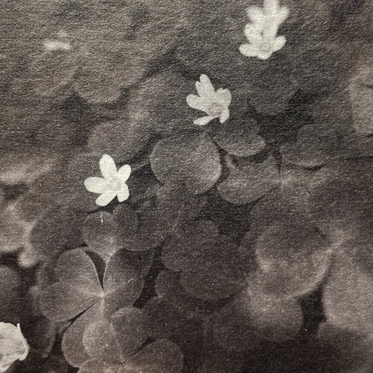 Michelle Smith-Lewis "Becoming - Mini 6"