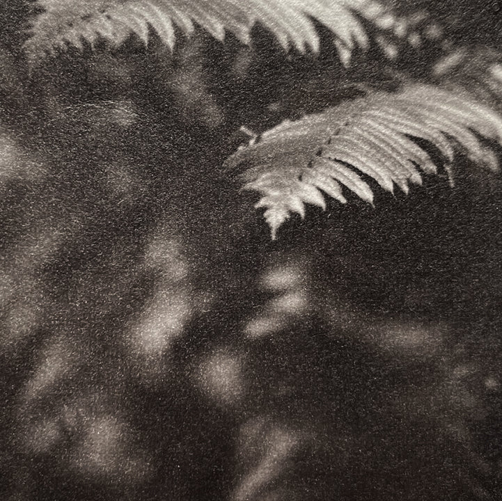 Michelle Smith-Lewis "Becoming - Mini 7"