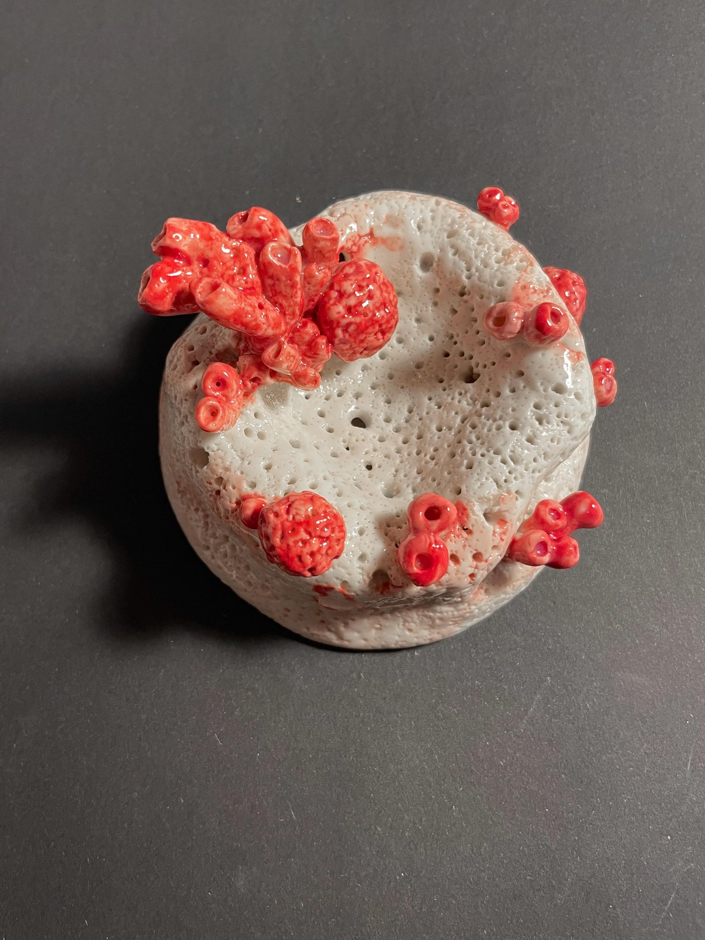 Carmen Cano "Benthos"