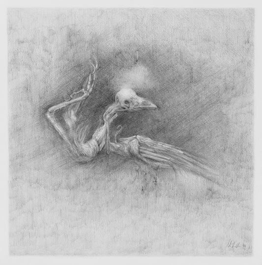 Beth McFadden "Messenger"