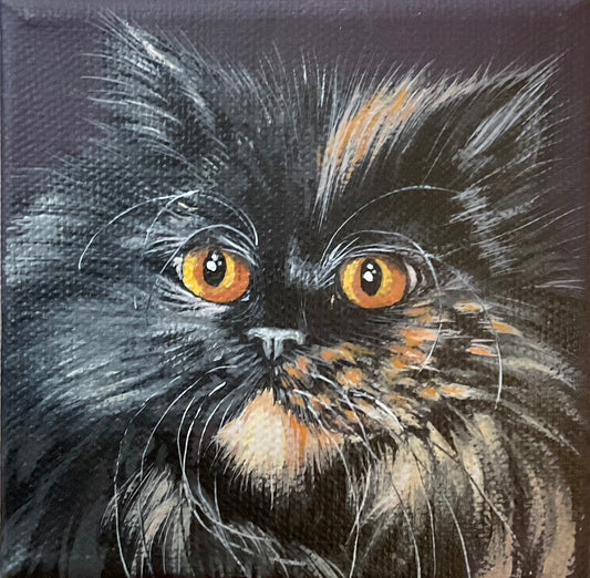 Lisa DeWilde "Biscuit"