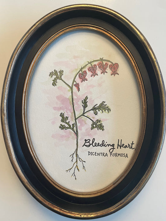 Taha Ebrahimi "Bleeding Heart"