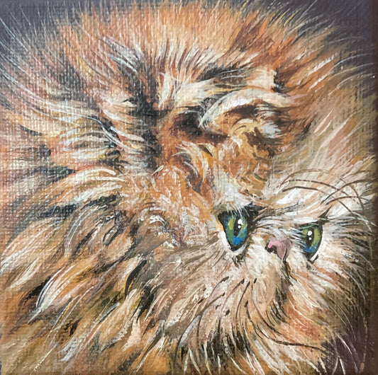 Lisa DeWilde "Bubbles