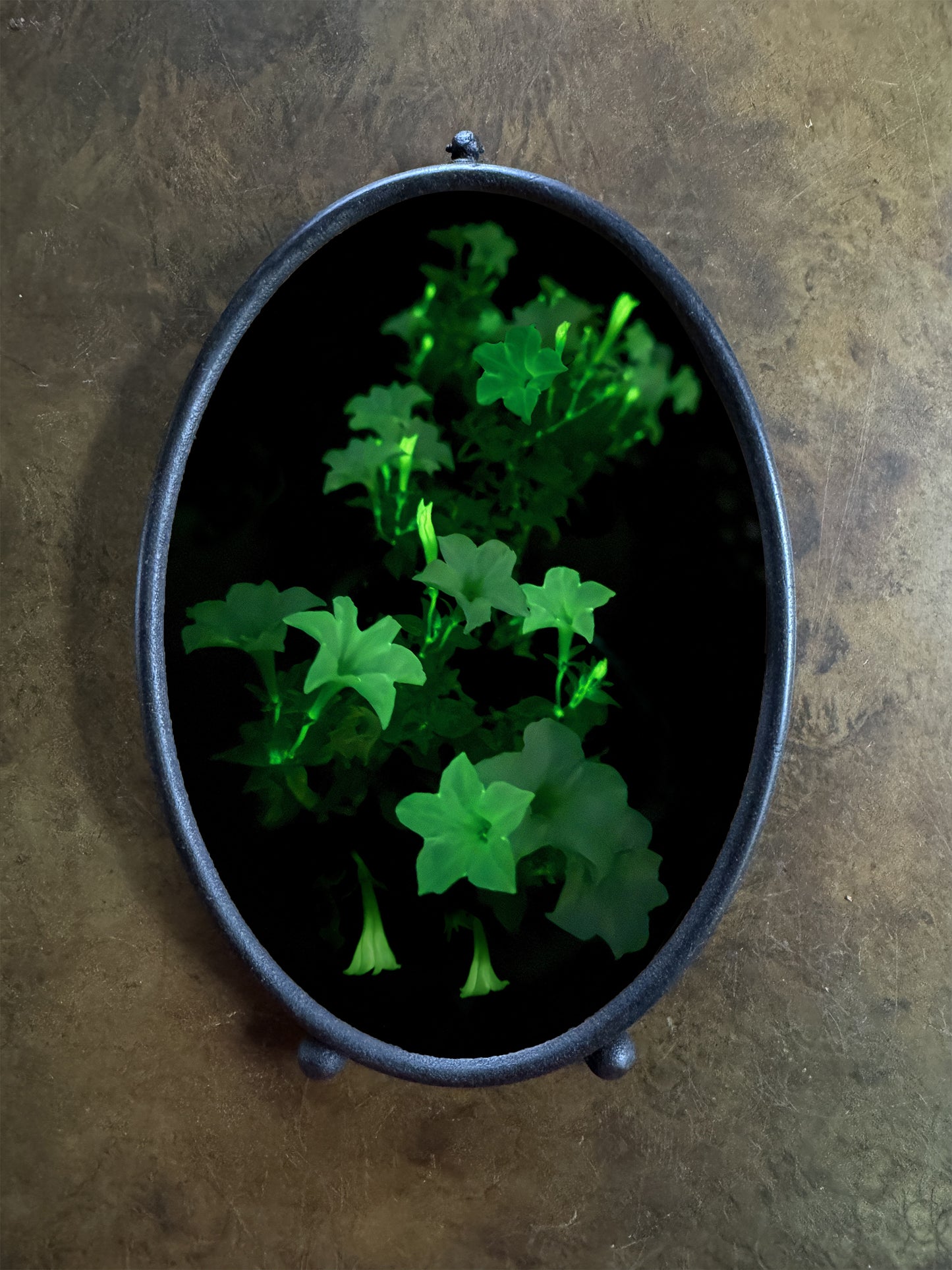 Bonnie Jordan "Firefly Flowers"