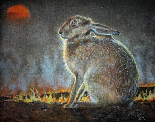 Denise Monaghan "Fire Season"