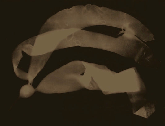 Polly Purvis "Floating Kelp I"