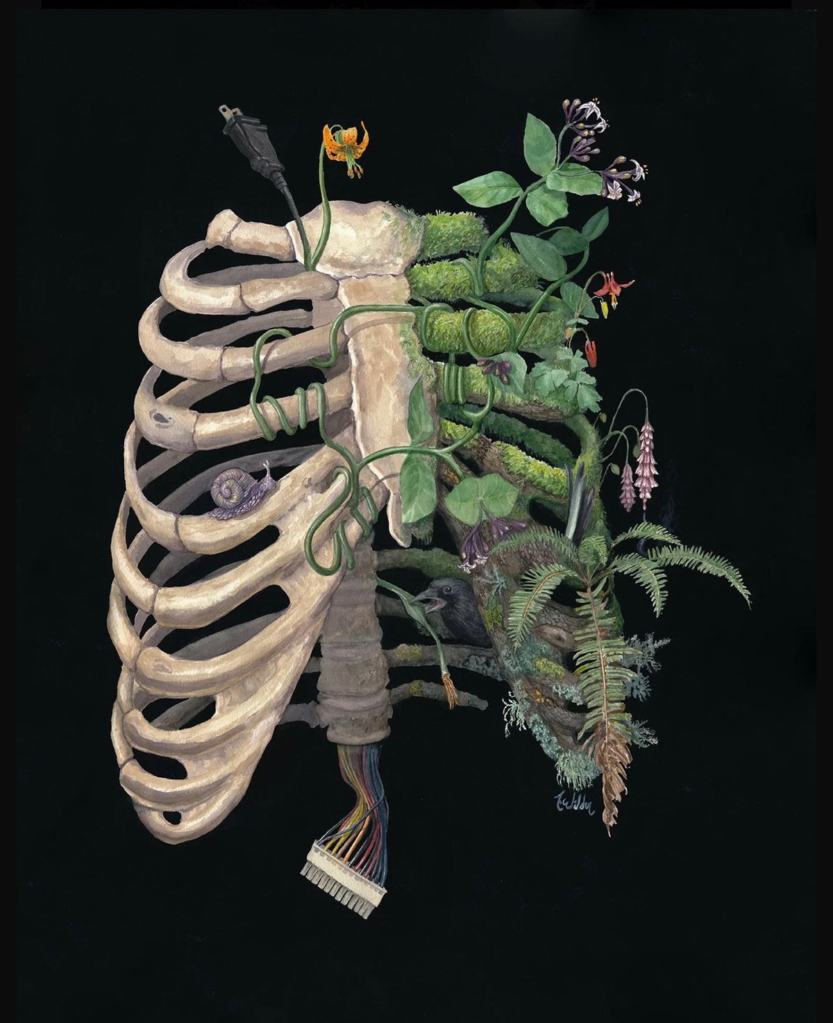 Anneke Wilder "Reboot"