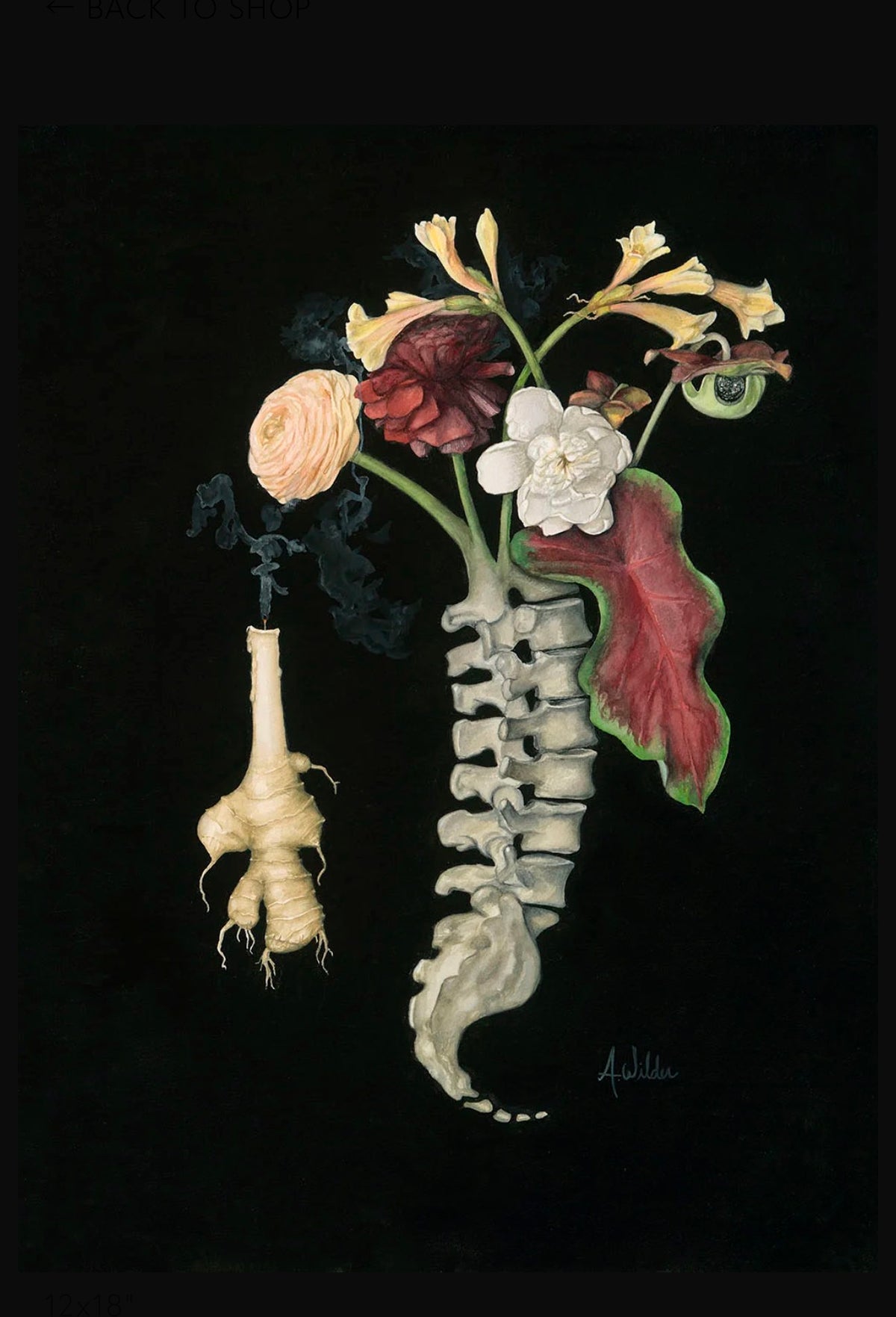 Anneke Wilder "Spinal"