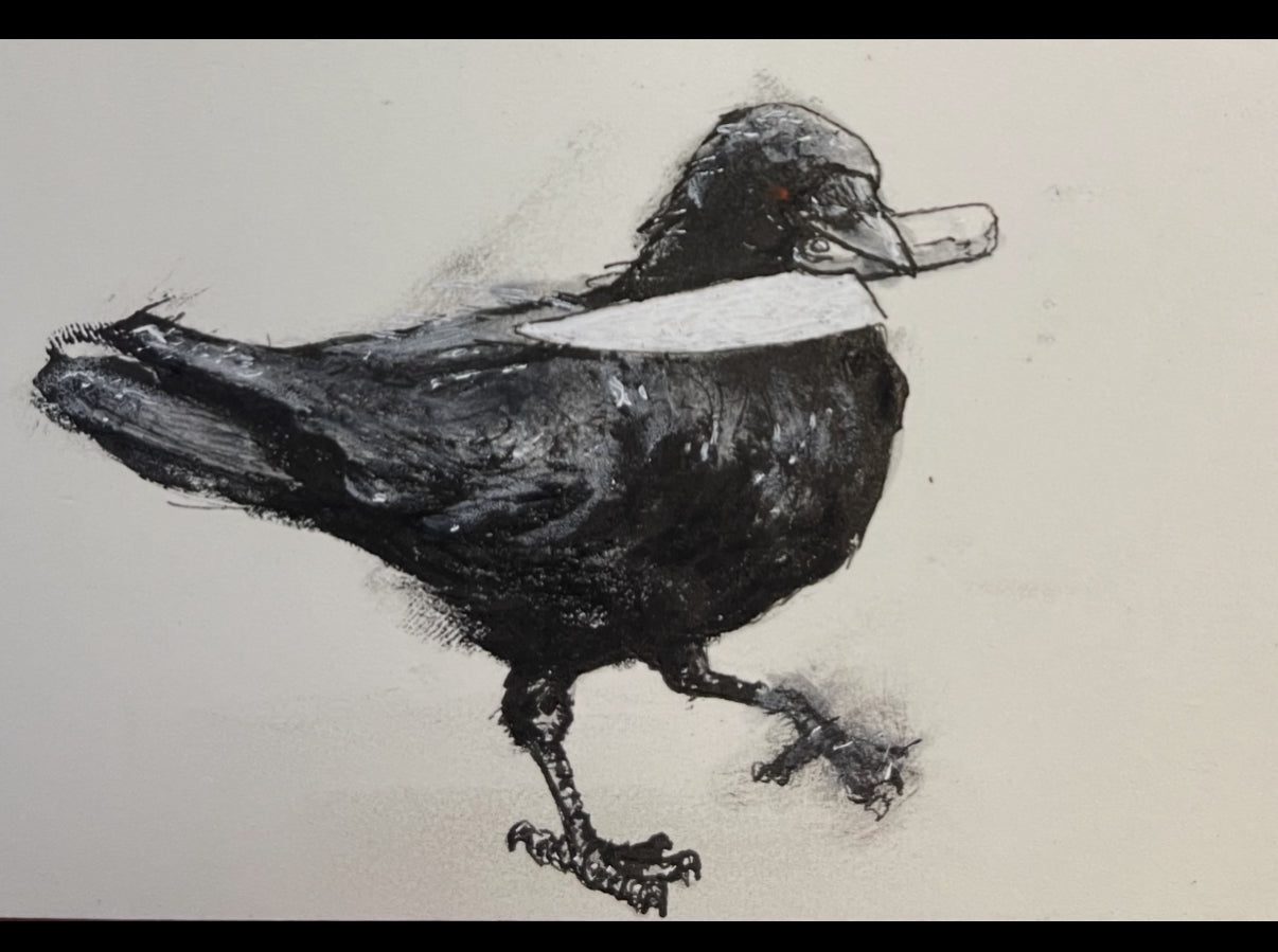 Aaron Morgan "Crow XIII"