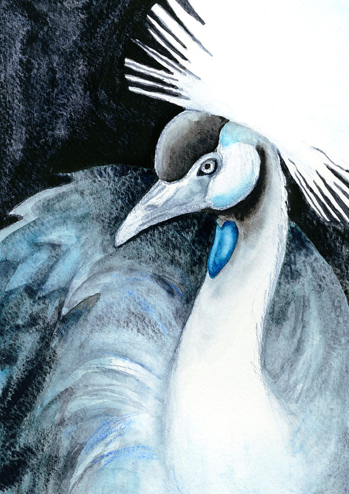 Dana Martin "Grey Crowned Crane"