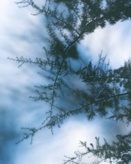 Holly Pendragon "Ghost Runner #16"