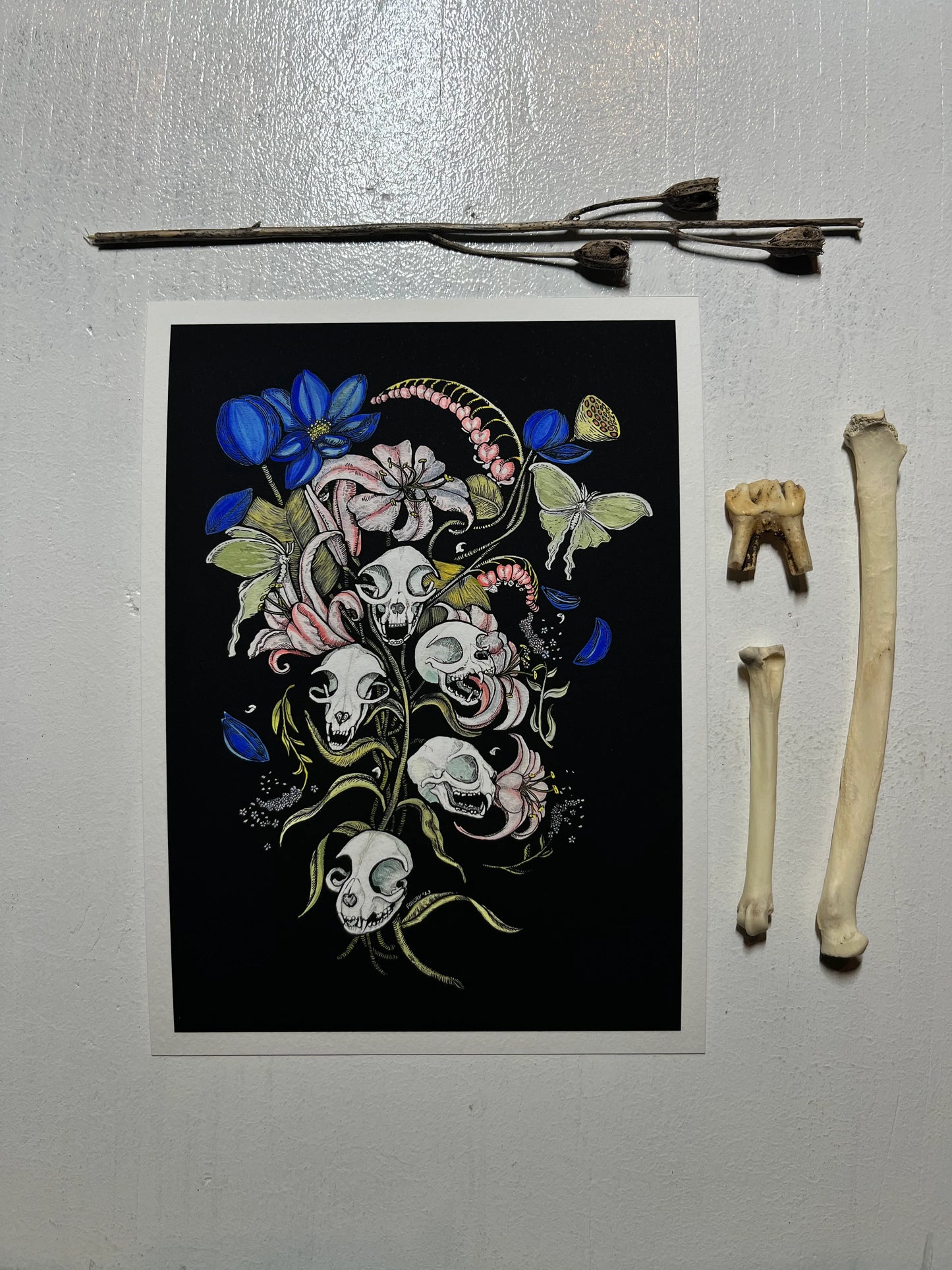 Foxcry Illustration "Mors Innocentiae: the death of innocence"